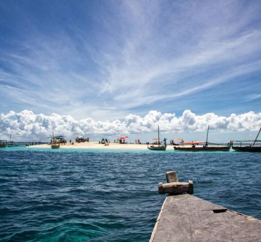 Blue Safari for water enthusiasts