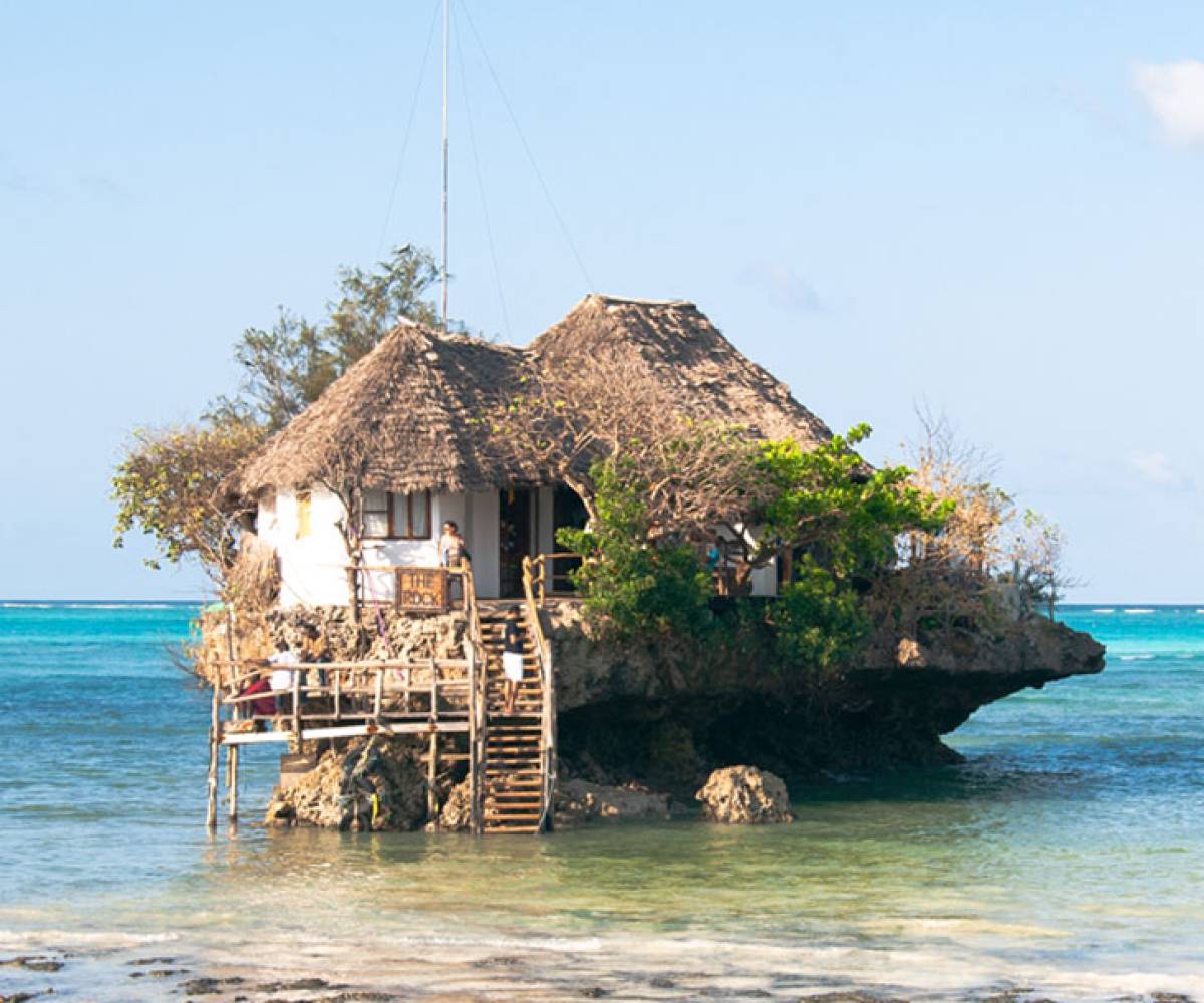 Jozani Forest + Seaweed + The Rock