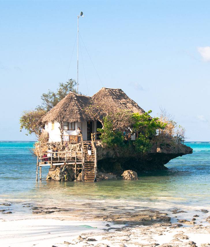 Jozani Forest + Seaweed + The Rock