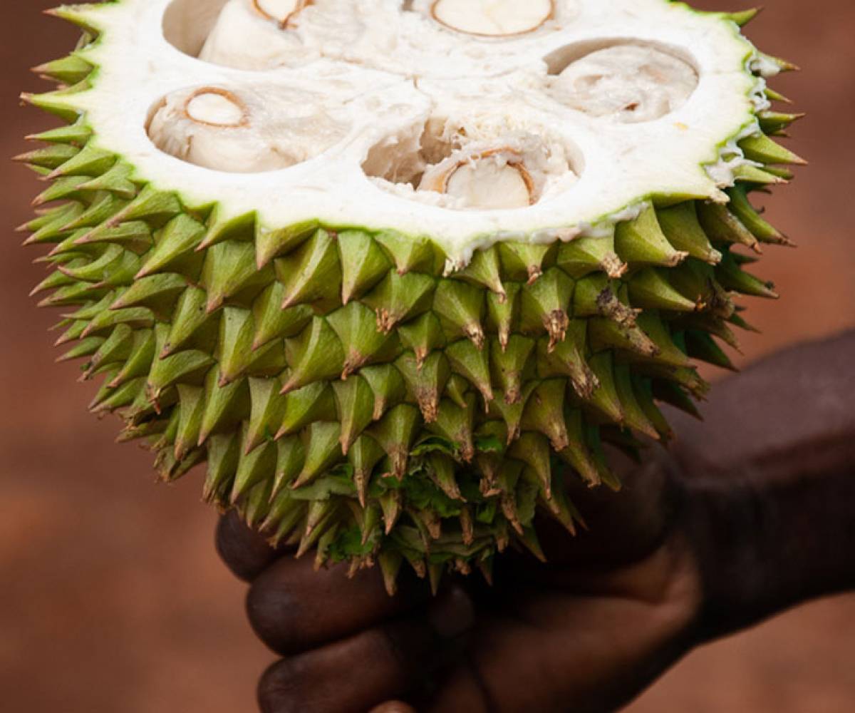 Spice Farm + Stone Town