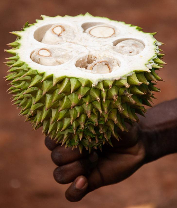 Spice Farm + Stone Town