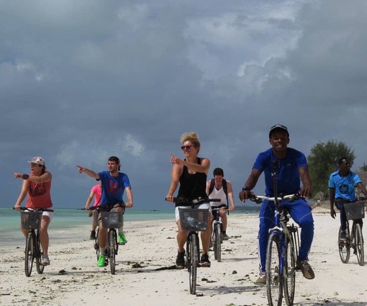 Bikes,  Kayaks,  Paddle board