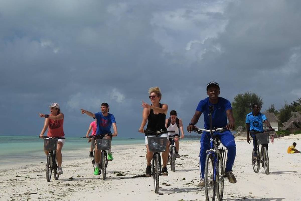 Bikes,  Kayaks,  Paddle board